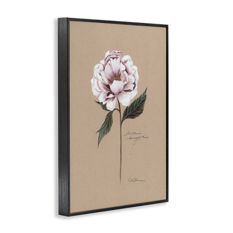 Giclée encadrée de pétales de fleurs rétro, design par Cady, H 18 po x l 12 po, Giclée encadrée noir minuit