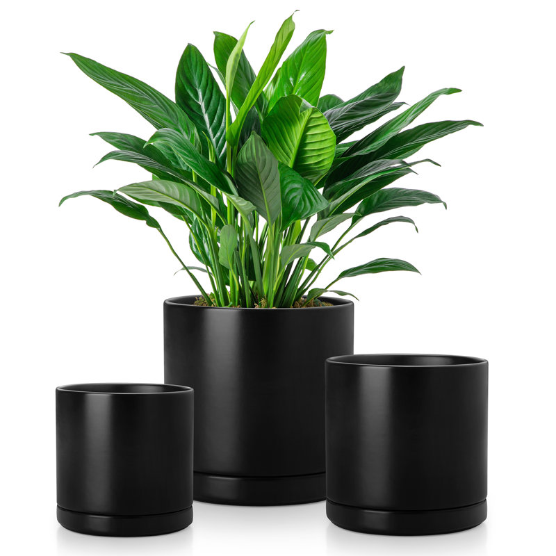 FLHPOT Ceramic Pot Planter, Black