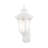 Alechandre Wall Light