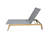 Renis Outdoor Chaise Lounge