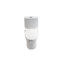 Toilette monobloc Tornado Flush