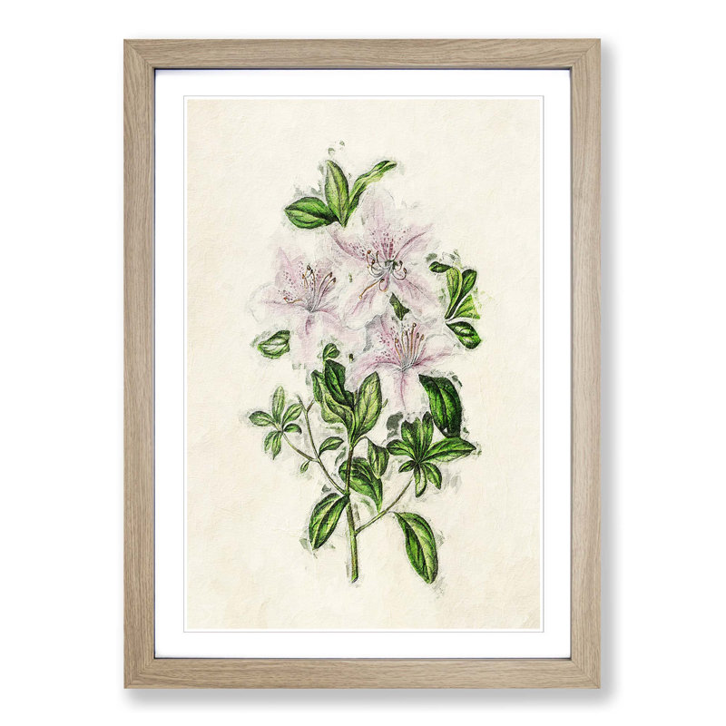 Illustration of Pink Azaleas - Picture Frame Painting Print, Oak Framed, 65cm H x 48cm W x 2cm D