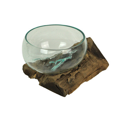 Molten glass and teak driftwood wide-mouth bowl vase and terrarium planter, 5.75 inches high