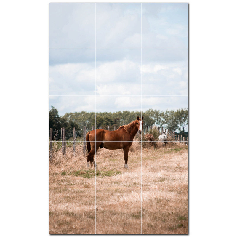Photo de ferme 8 x 8