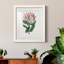Protea N13 - Peinture encadrée-841114260-841114267