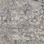 Royal Terrace Oriental Area Rug-49422489