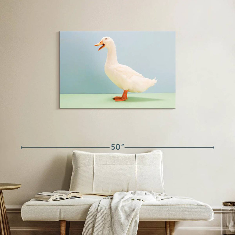 Canard blanc, H 24 po x l 36 po