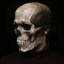 Masque de tête de mort réaliste réaliste d'Halloween