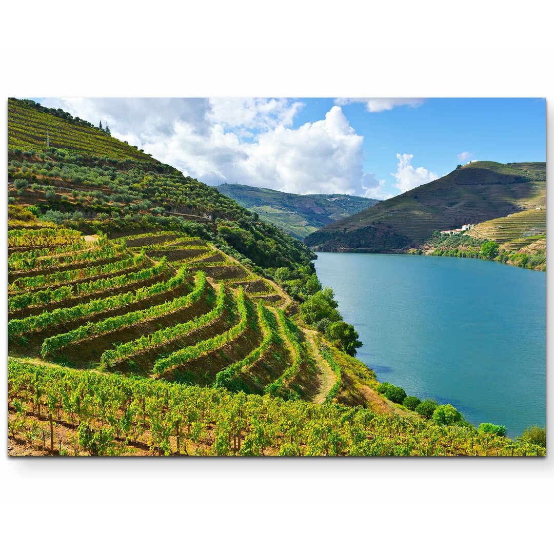 Leinwandbild Weinberge am Fluss Douro in Portugal