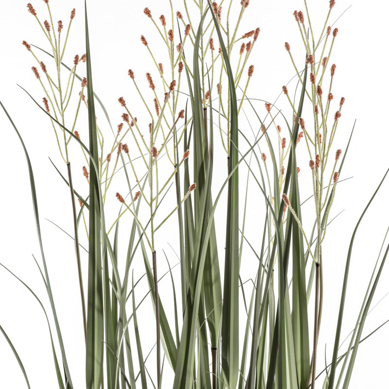 Faux Grass in Cement Pot, 155cm H x 56cm W x 56cm D