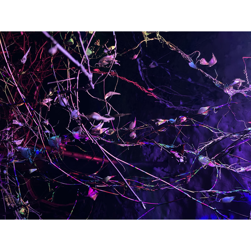 Snow Vines