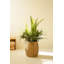  Fausse plante artificielle en plastique vert 40 po H