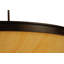 Dionne 8 - Light Pendant