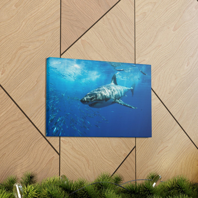 No Frame Print on Canvas