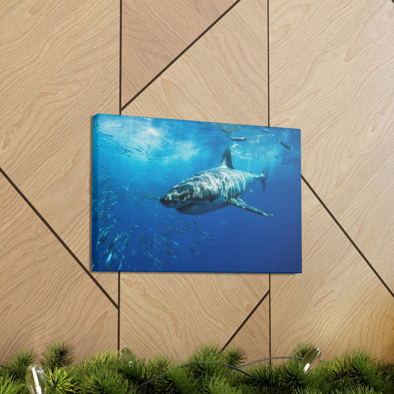 Shark Hunting Shark on Hunt Print Animal Wall Art