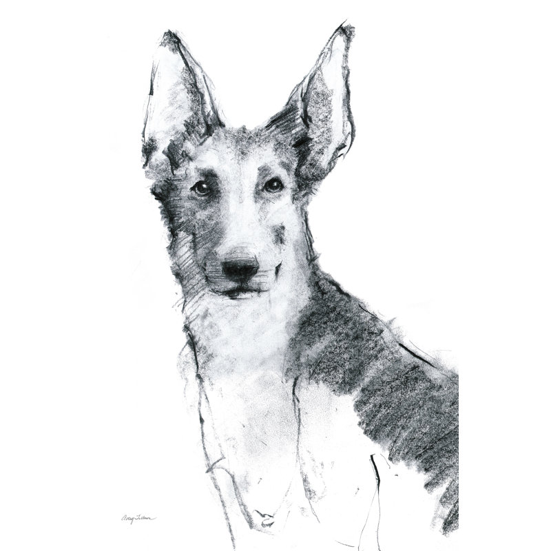 Franz Sitting Pretty by Avery Tillmon - Wrapped Canvas Print, 76cm H x 51cm W