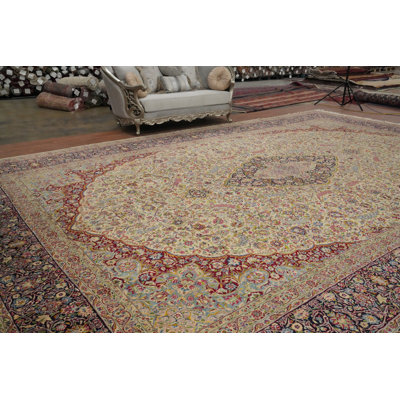 Vegetable Dye  Oriental Large Rug 14x21
