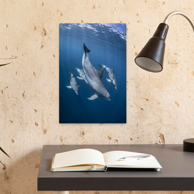 Print, 45.72cm H x 30.48cm W