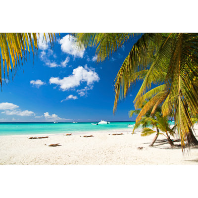 " Caribbean Paradise " by Pashapixel