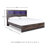Drystan Bookcase Storage Bed-1602257074