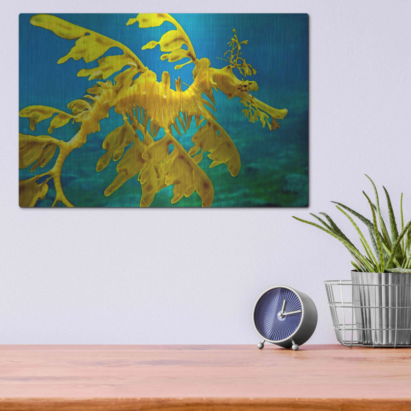Art mural en métal Beachcrest Home ™ «Sea Dragon» par Mike Jones, H 12 po x l 16 po