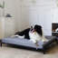 Dunlop Orthopedic Cotton Pet Bed