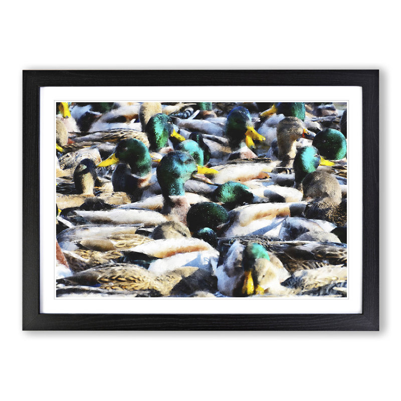 Mallard Ducks - Picture Frame Painting, Black Framed, 48cm H x 65cm W x 2cm D