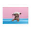 Drôle de Yorkshire terrier Bathee, art mural sur toile-757207469