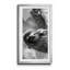 Sloth Swing - Photographie avec cadre photo-2126416622-2126416623