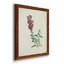Traditional Botanical I - Ensemble de 4 reproductions de cadres photo sur toile-32851612-32851613