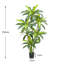 Annetraud 150cm Plant