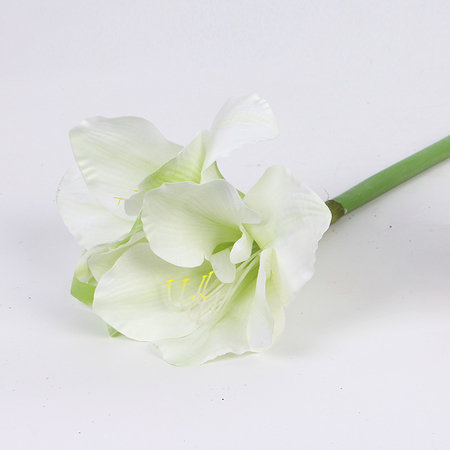Tige orchidée clivia, 3 tiges, blanc