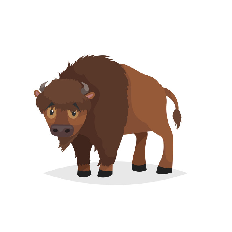 Cute Bison - Wrapped Canvas Print, 51cm H x 51cm W x 3.8 cm D