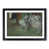 Black Framed selected