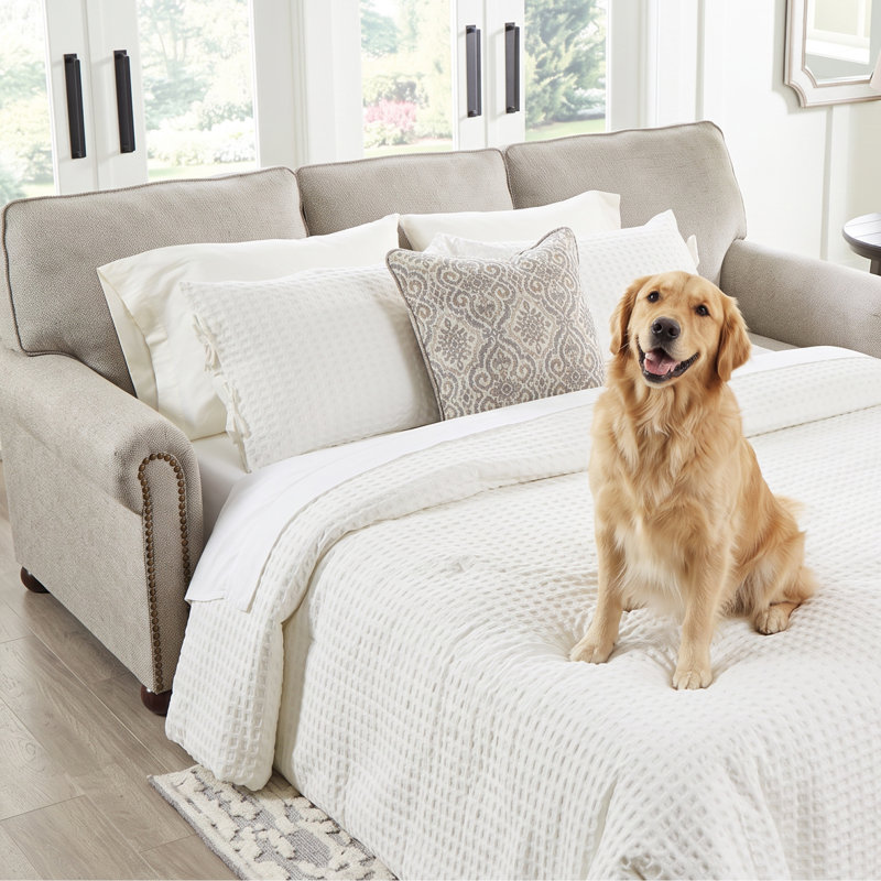 Francie Upholstered 87'' Sleeper Sofa