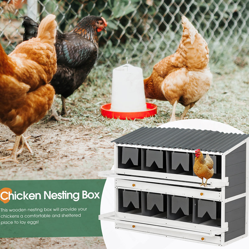 Versatile Chicken Nesting Box With Multiple Compartments And Advanced Features