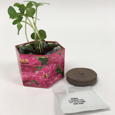 Glass Pot Planter