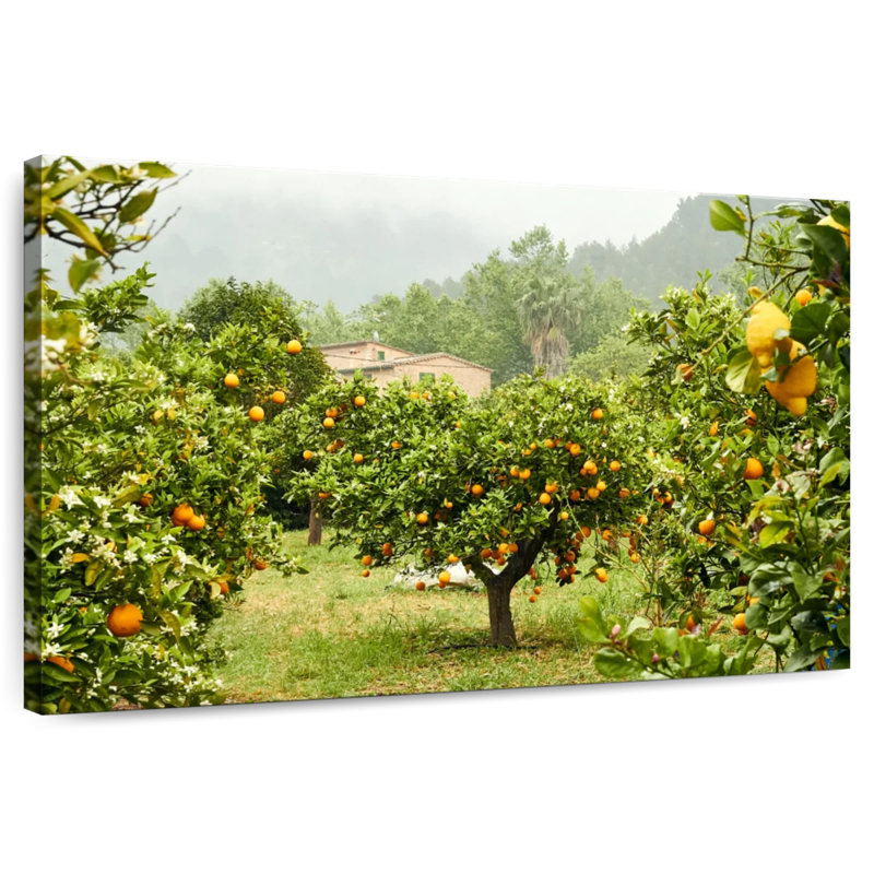 Harnek Lemon Orchard, 20" H x 30" W