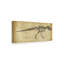« tyrannosaure rex study », reproduction d’art sur toile tendue-33418314