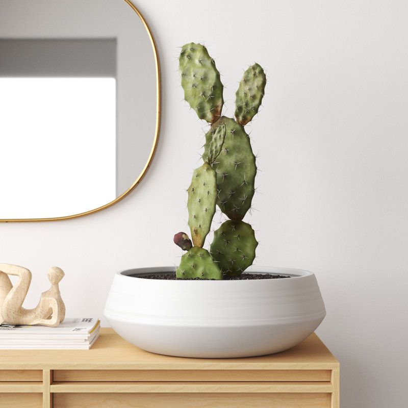 Pot à fleurs Wimbish, Blanc, H 6 po x l 17 po x P 17 po