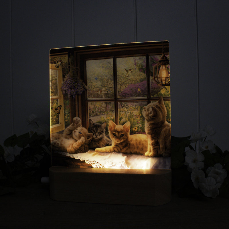 Playful Kittens LED Nightlight