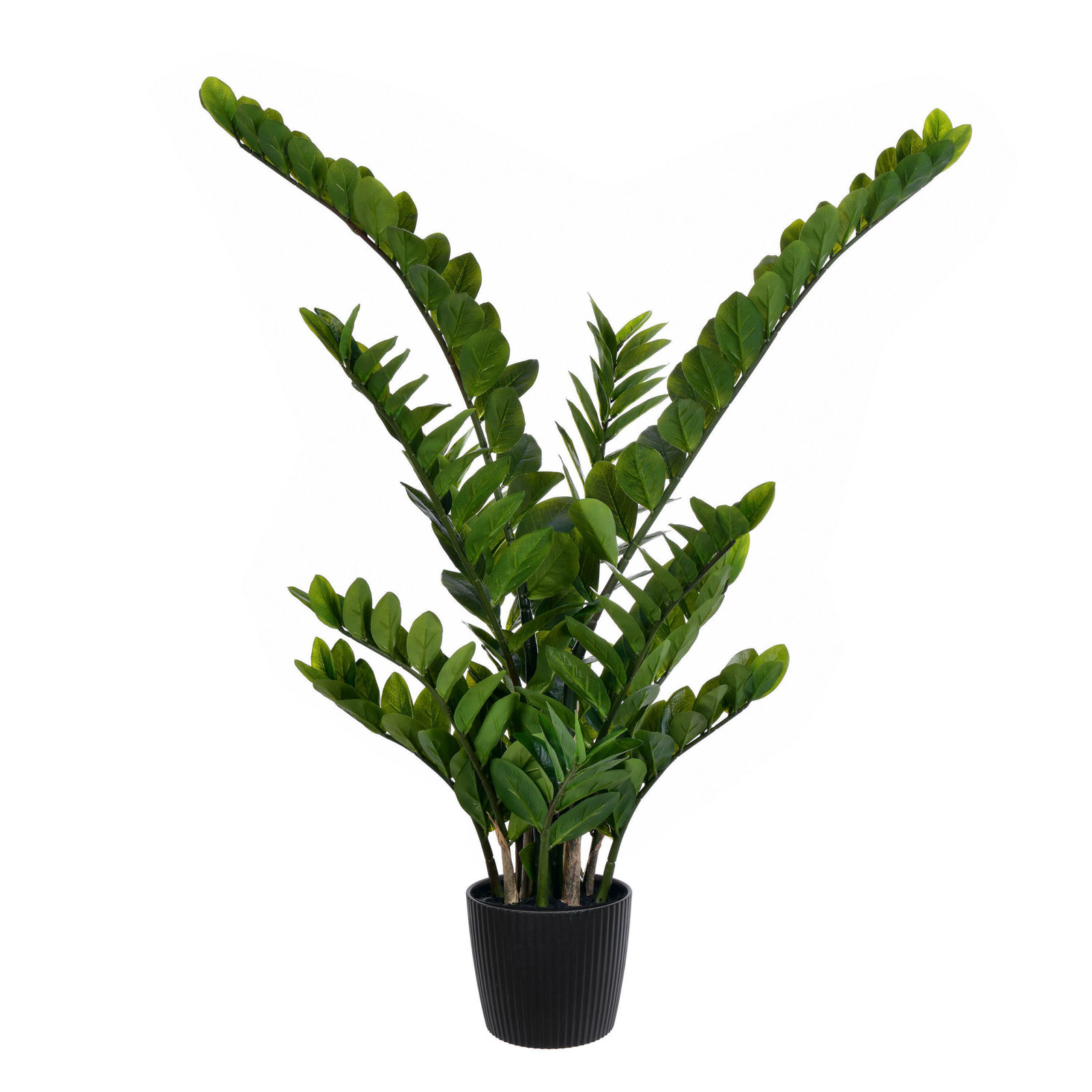 Zen ZZ Plant in Pot, 43" H x 27" W x 27" D