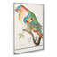 The Parrot by A.B. De Boodt - Wrapped Canvas-55358371