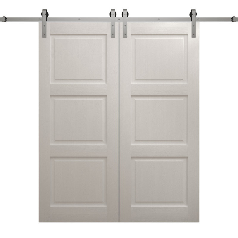 Porte de grange double moderne | Ego 5010 | Ensemble de rail argenté | Portes intérieures solides, Chêne blanc peint