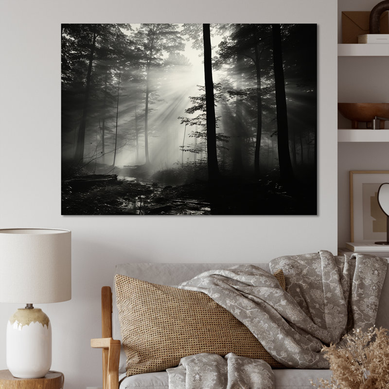 «Black and White Forest Silence», photographie encadrée, 34" H x 44" W, Toile tendue