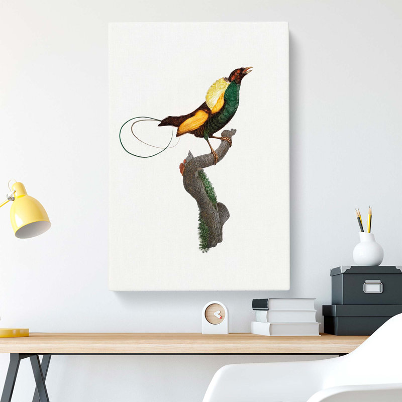A Magnificent Bird of Paradise by Jacques Barraband - Wrapped Canvas, 76cm H x 50cm W x 3cm D