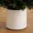 5ft. UV Resistant Artificial Cedar Tree in Decorative White Planter (Indoor/Outdoor)-989391091