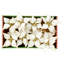 Glitter Poinsettia, 9.5 Inches-1617884458