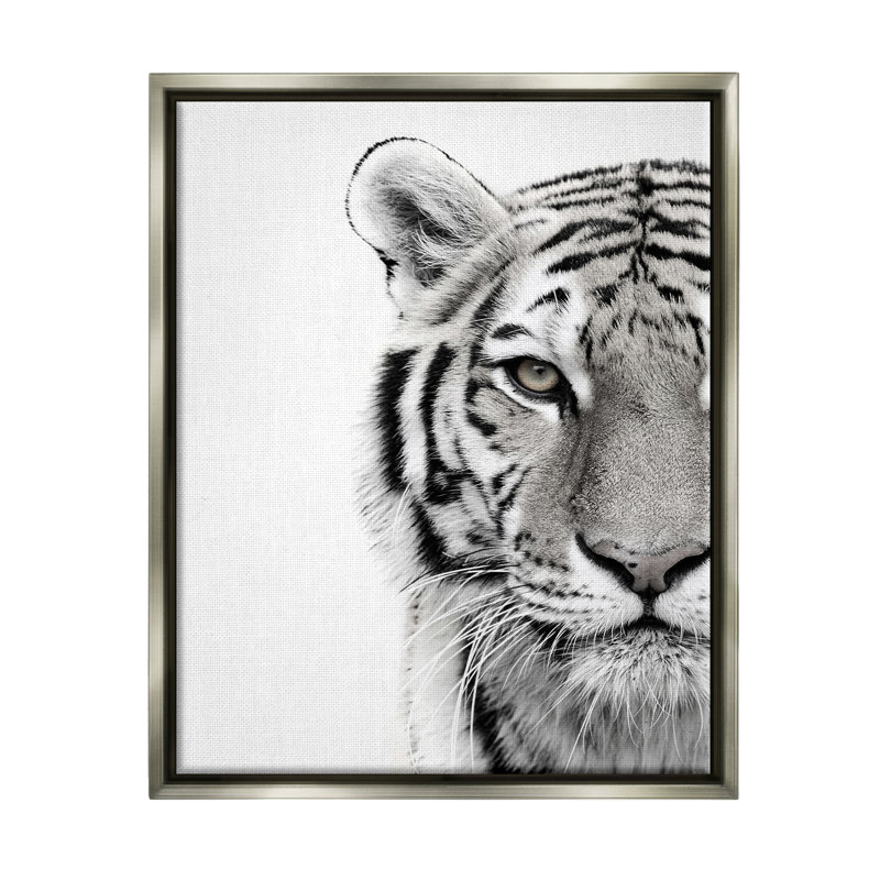 Tigre blanc, gros plan, photographie sur toile en noir et blanc par Design Fabrikken, L 17 po x H 21 po