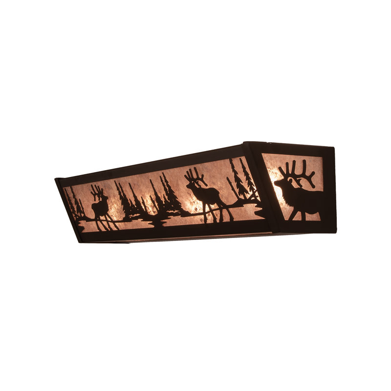 4 - Light Vanity Light, Silver, Oil Rubbed Bronze